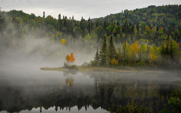 Méditation brouillard